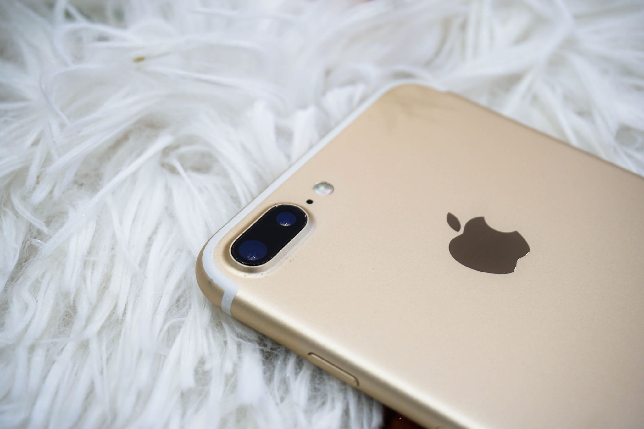 iphone 7 plus thái bình
