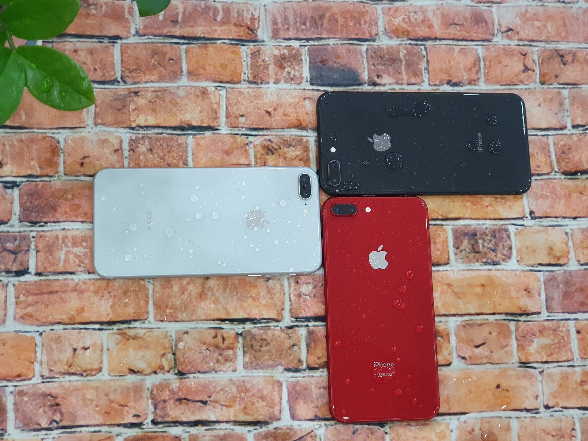 iphone 8 plus cũ