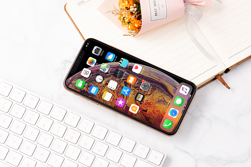iphone xs max cũ thái bình
